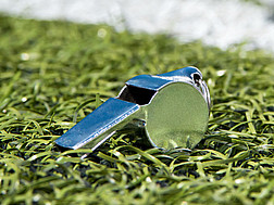 Pfeife auf einem Fussballfeld c trendobjects Clipdealer