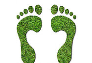 Fussabdruck aus Gras c axstokes Clipdealer